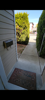 Screenshot 20250625-110854